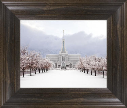 Mt Timpanogos Morning Snow