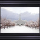 Mt Timpanogos Morning Snow