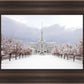 Mt Timpanogos Morning Snow