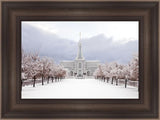 Mt Timpanogos Morning Snow