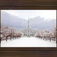 Mt Timpanogos Morning Snow