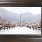 Mt Timpanogos Morning Snow