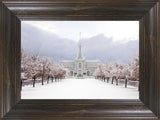 Mt Timpanogos Morning Snow