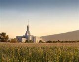 Mt Timp Harvest