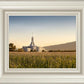 Mt Timp Harvest