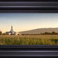 Mt Timp Harvest