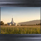 Mt Timp Harvest