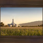 Mt Timp Harvest