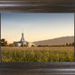 Mt Timp Harvest