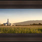 Mt Timp Harvest