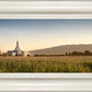 Mt Timp Harvest