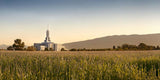 Mt Timp Harvest