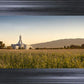 Mt Timp Harvest