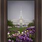 Mt Timp Tulips