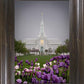Mt Timp Tulips