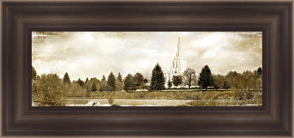 Idaho Falls Vintage