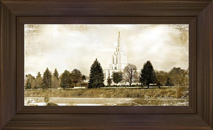 Idaho Falls Vintage
