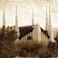 Las Vegas Vintage