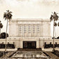 Mesa Vintage