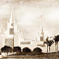 San Diego Vintage