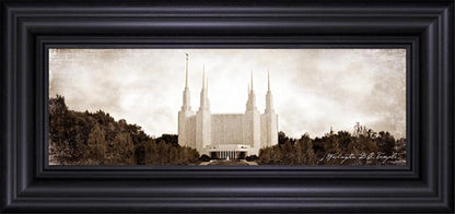 Washington DC Vintage