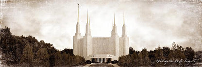 Washington DC Vintage