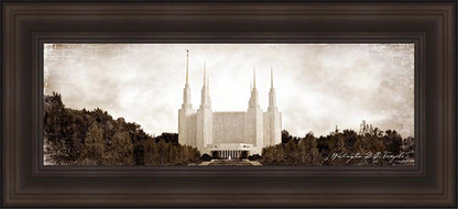 Washington DC Vintage