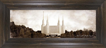 Washington DC Vintage