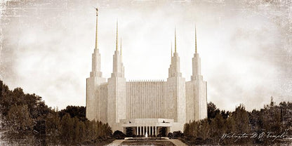 Washington DC Vintage