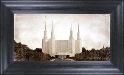 Washington DC Vintage