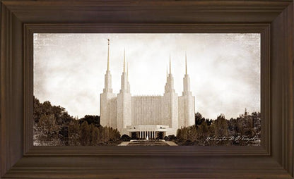 Washington DC Vintage