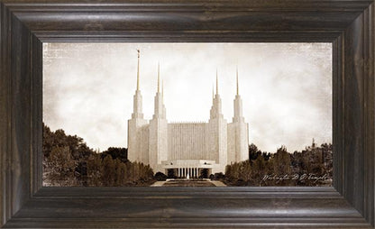 Washington DC Vintage