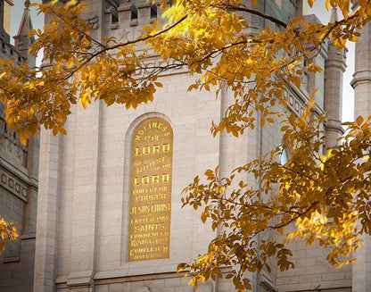 Salt Lake Autumn Leaves