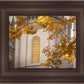 Salt Lake Autumn Leaves