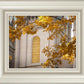 Salt Lake Autumn Leaves