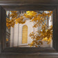 Salt Lake Autumn Leaves