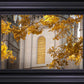 Salt Lake Autumn Leaves