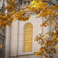 Salt Lake Autumn Leaves