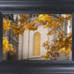 Salt Lake Autumn Leaves