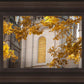 Salt Lake Autumn Leaves