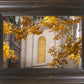 Salt Lake Autumn Leaves