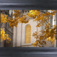 Salt Lake Autumn Leaves