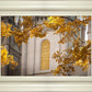 Salt Lake Autumn Leaves