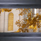 Salt Lake Autumn Leaves