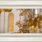 Salt Lake Autumn Leaves