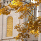 Salt Lake Autumn Leaves
