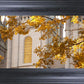 Salt Lake Autumn Leaves