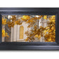 Salt Lake Autumn Leaves
