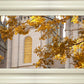 Salt Lake Autumn Leaves