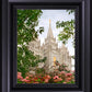 Salt Lake Mid-Summer Garden